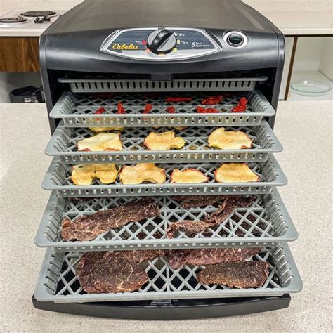 The Best Food Dehydrator of 2024, Tested by the Taste of Home .